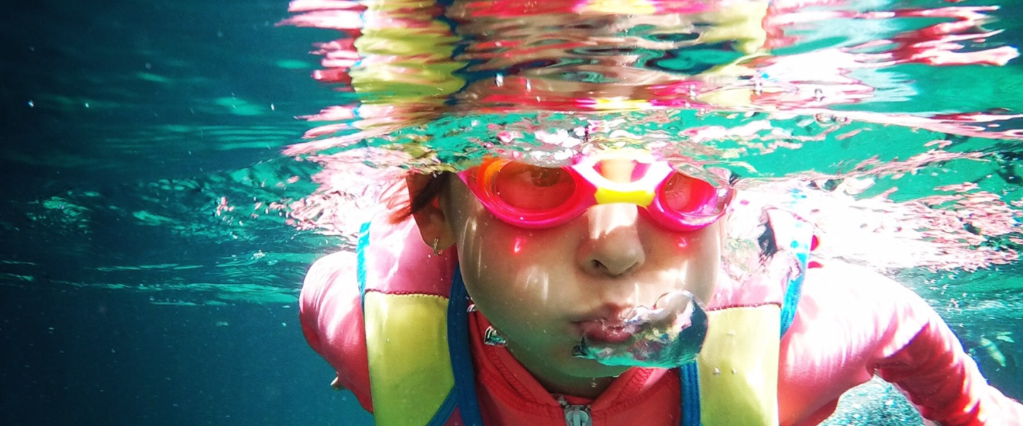 Aquatics banner